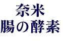 奈米
腸の酵素
